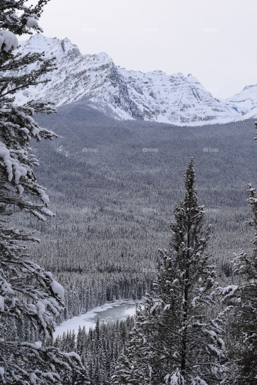 High angle view of banff national park