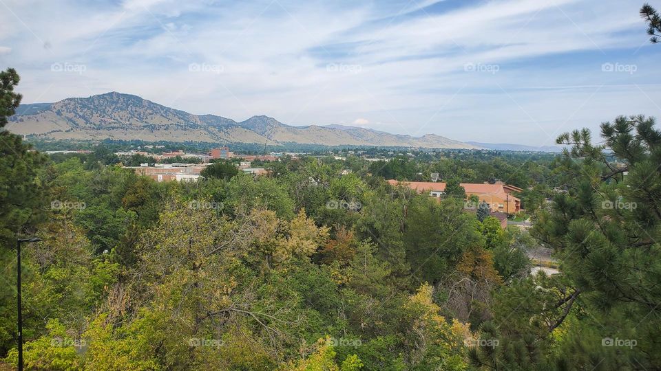 over looking trees and mountain