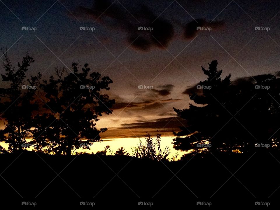 The Dog Day are Over