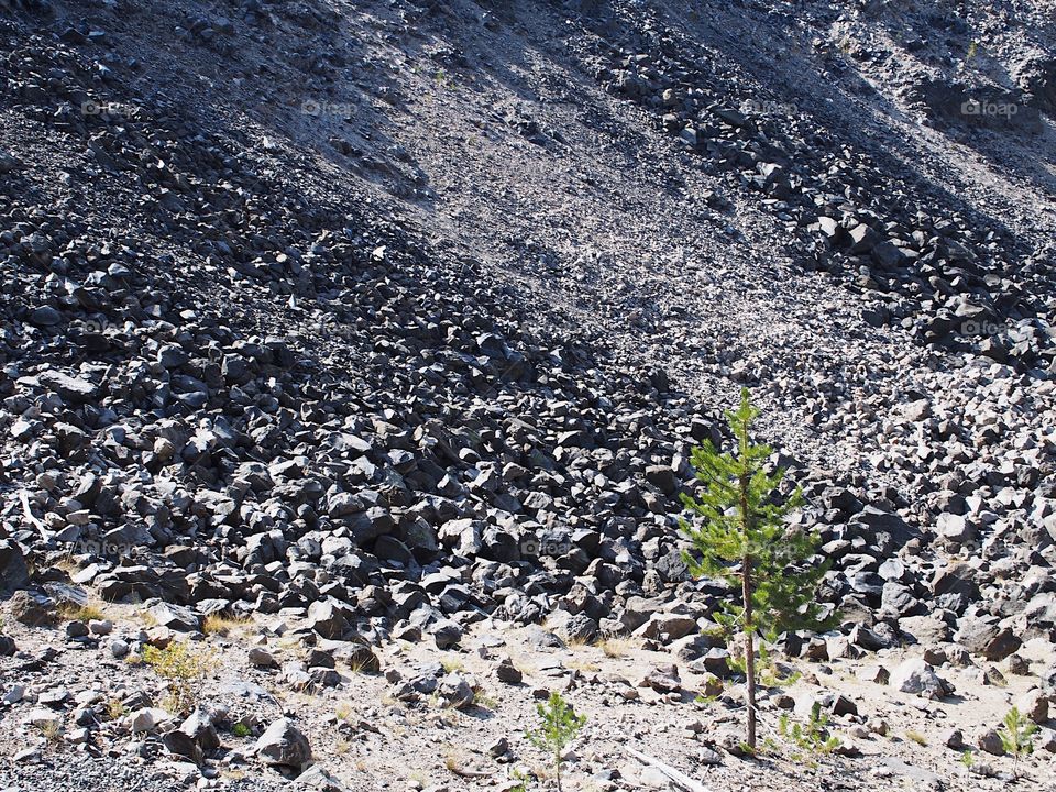 Textured Obsidian and hardened lava rock on a sunny fall day at the Big Obsidian Flow in the Newberry National Volcanic Monument in Central Oregon. 