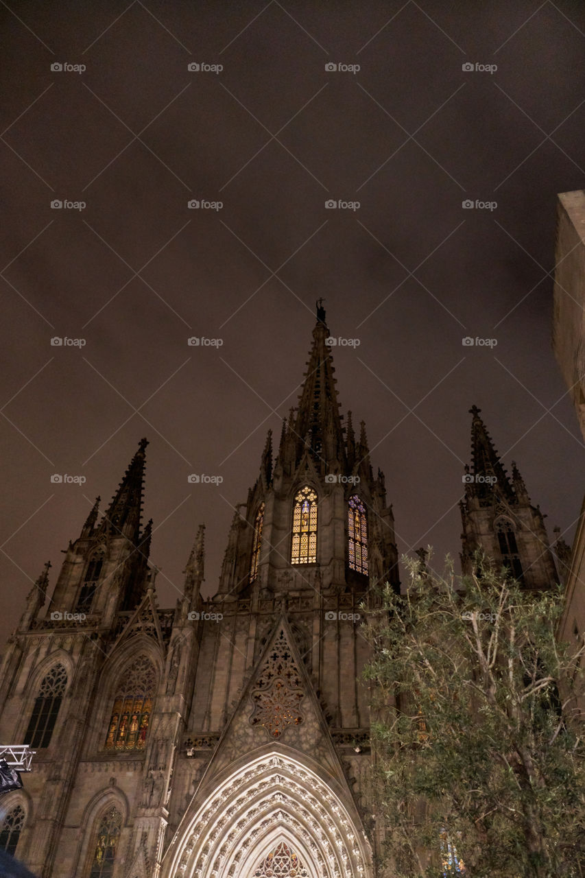 Barcelona Cathedral 