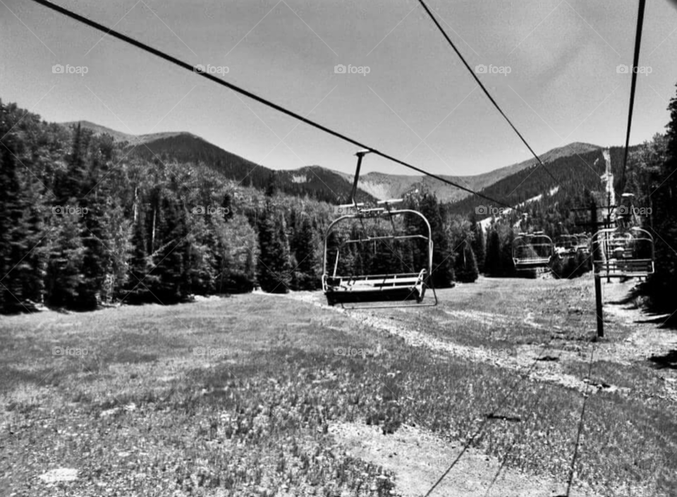 deserted forests and chair lifts