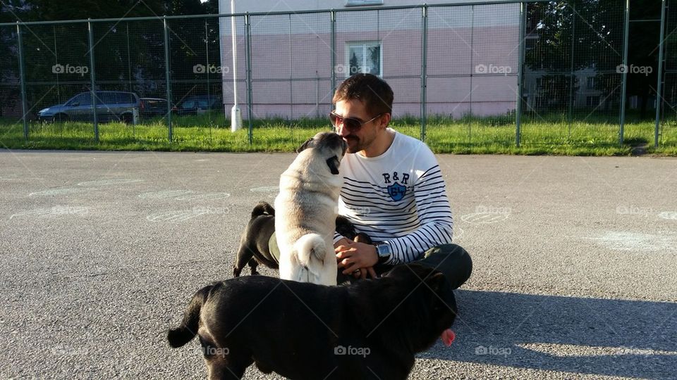 Man & pugs