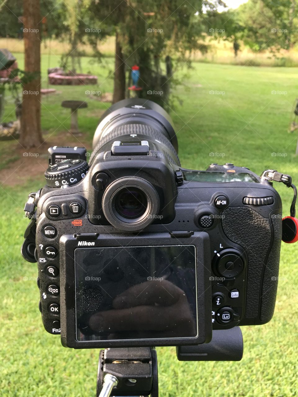 Nikon D500 with Nikkor 200-500mm Lens