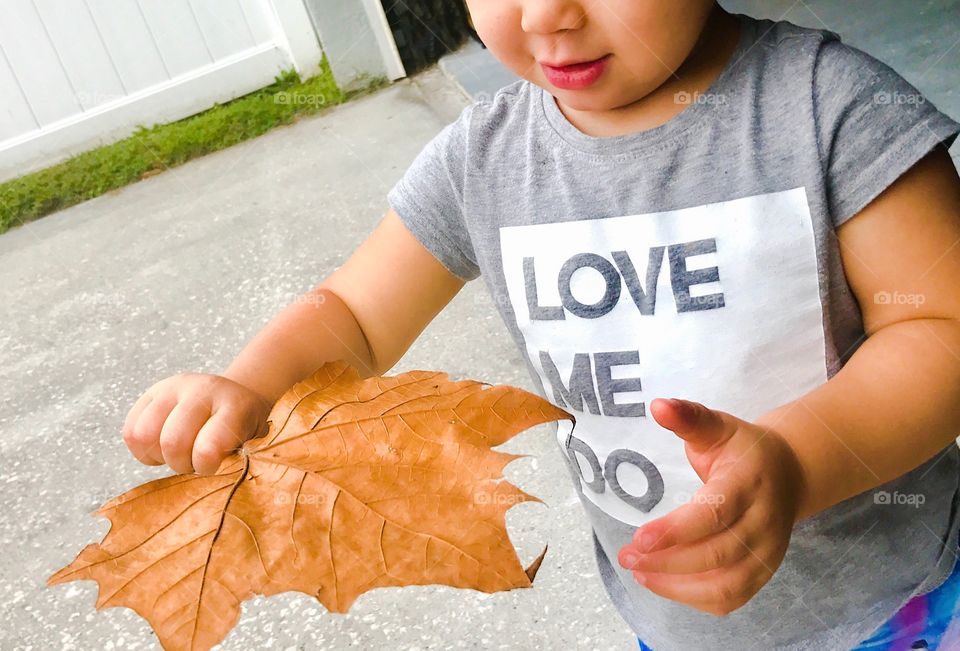 Big leaf in little hands