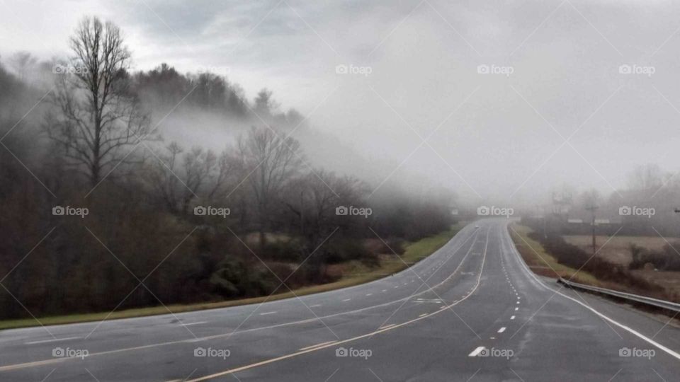 fog mist road