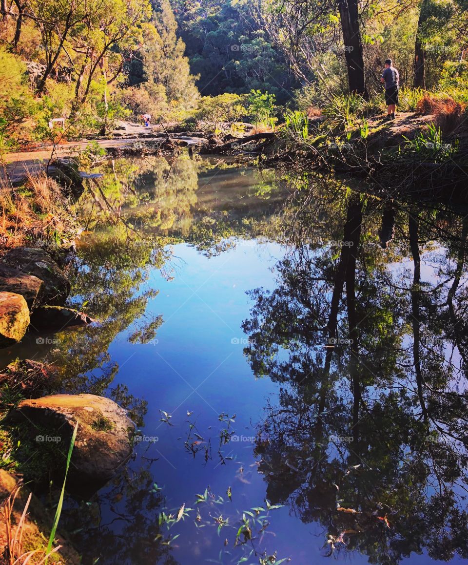 Reflections in the Australian bush