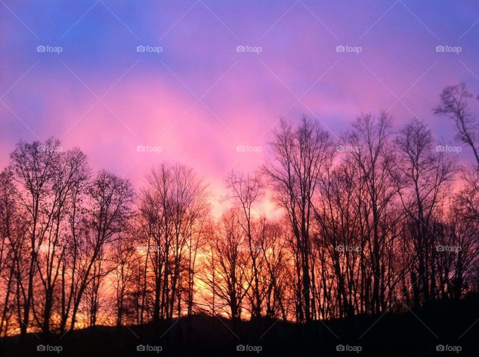 beautiful colors in the sky