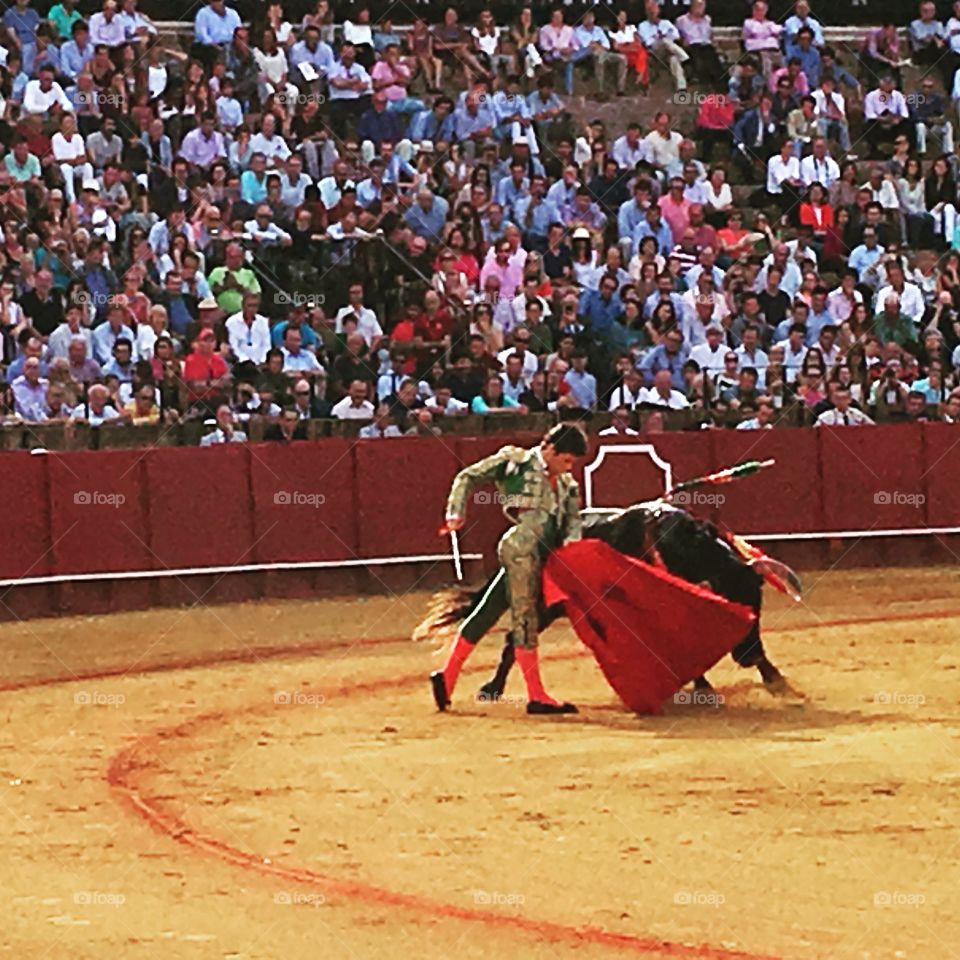 Seville, Spain “Bullfight” 