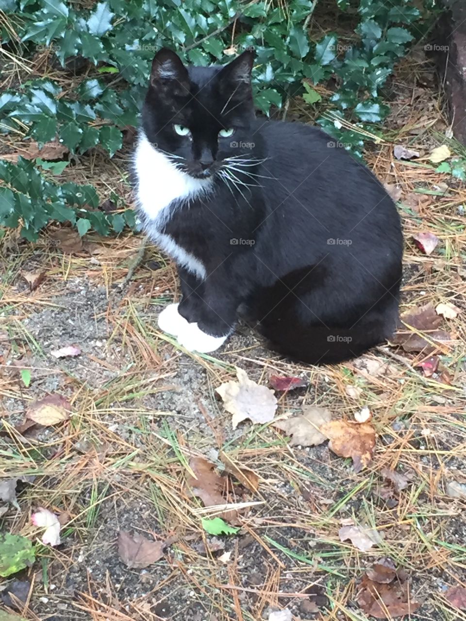 I told you, I didn’t want you to take a photo of me 