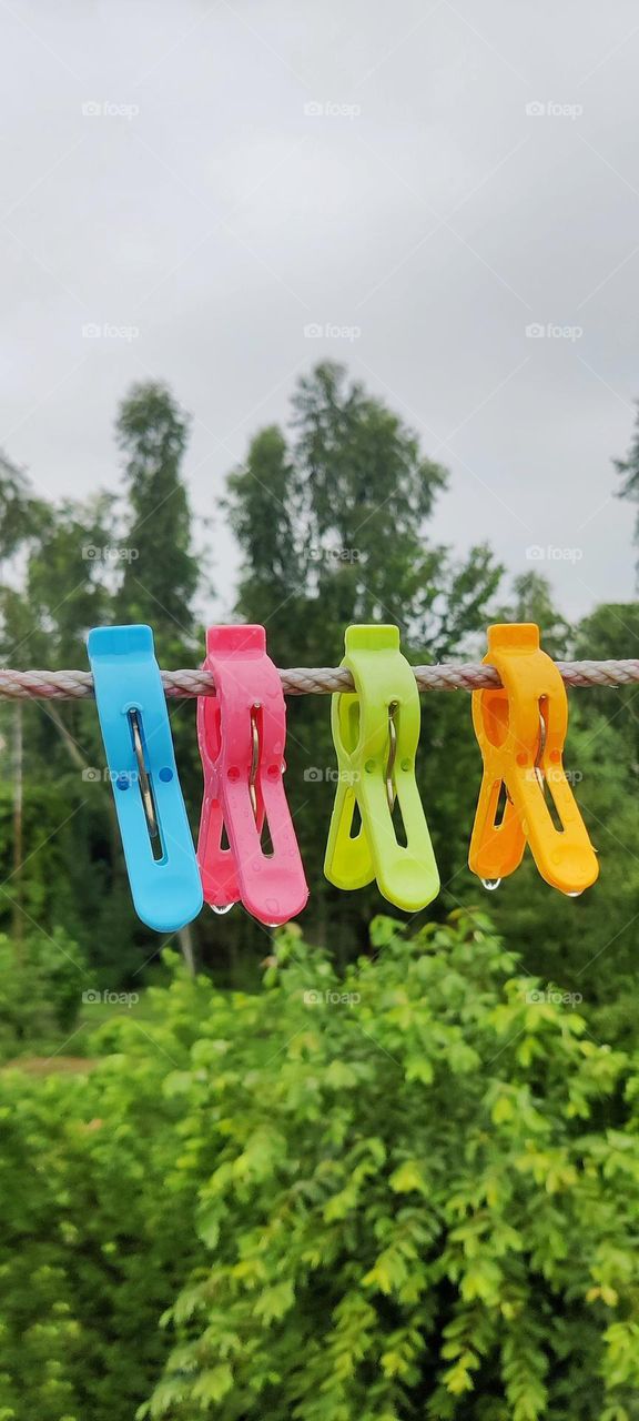 colours
editor's choice- best photo of the weak