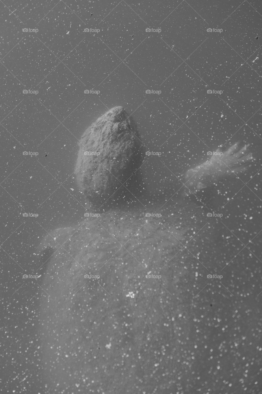 Foap, Color vs Black and White: A common snapping turtle rises from the dark depths below in murky water. Appearance of a mysterious prehistoric creature.