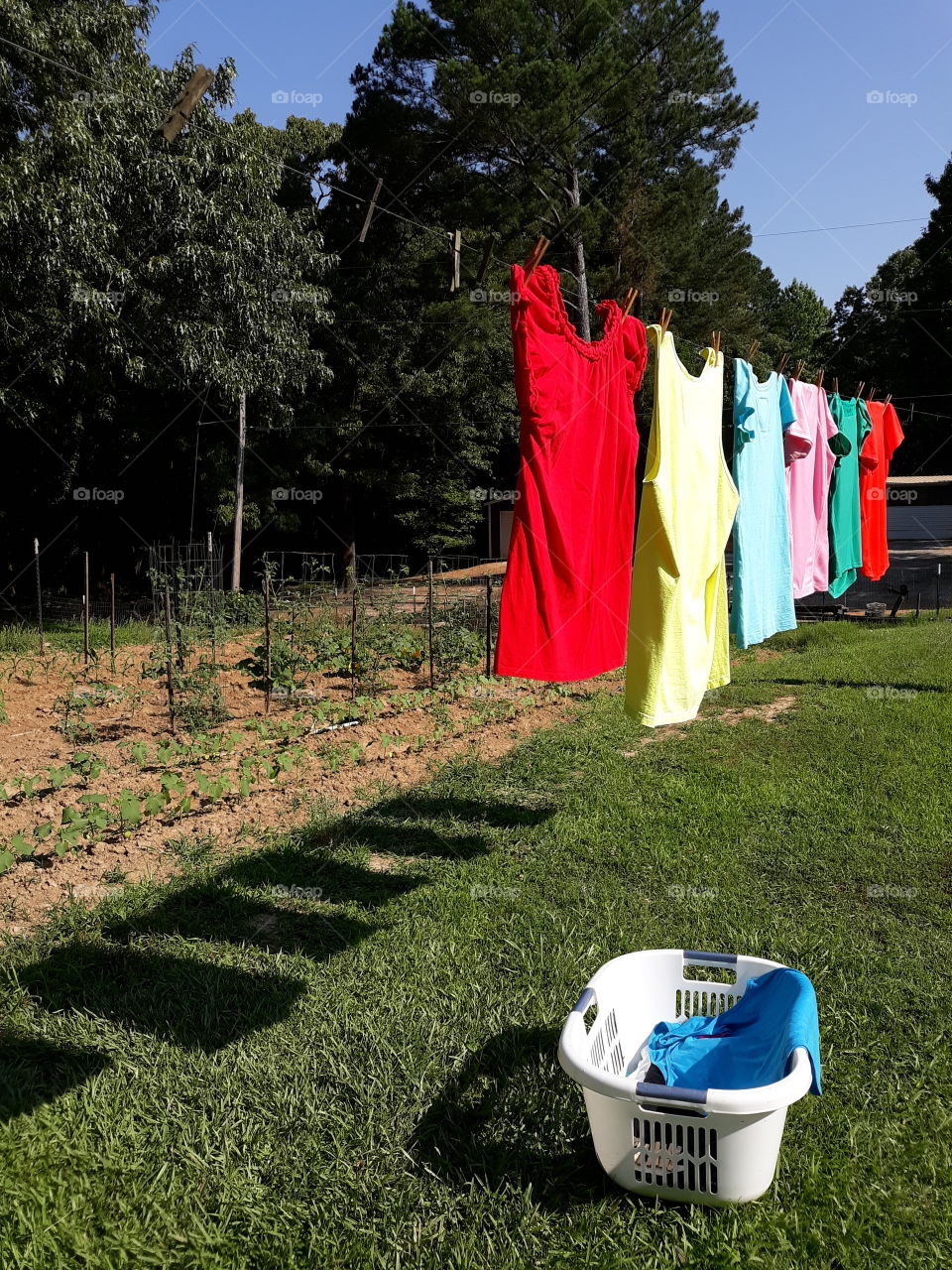 Garden & Laundry - Morning Work