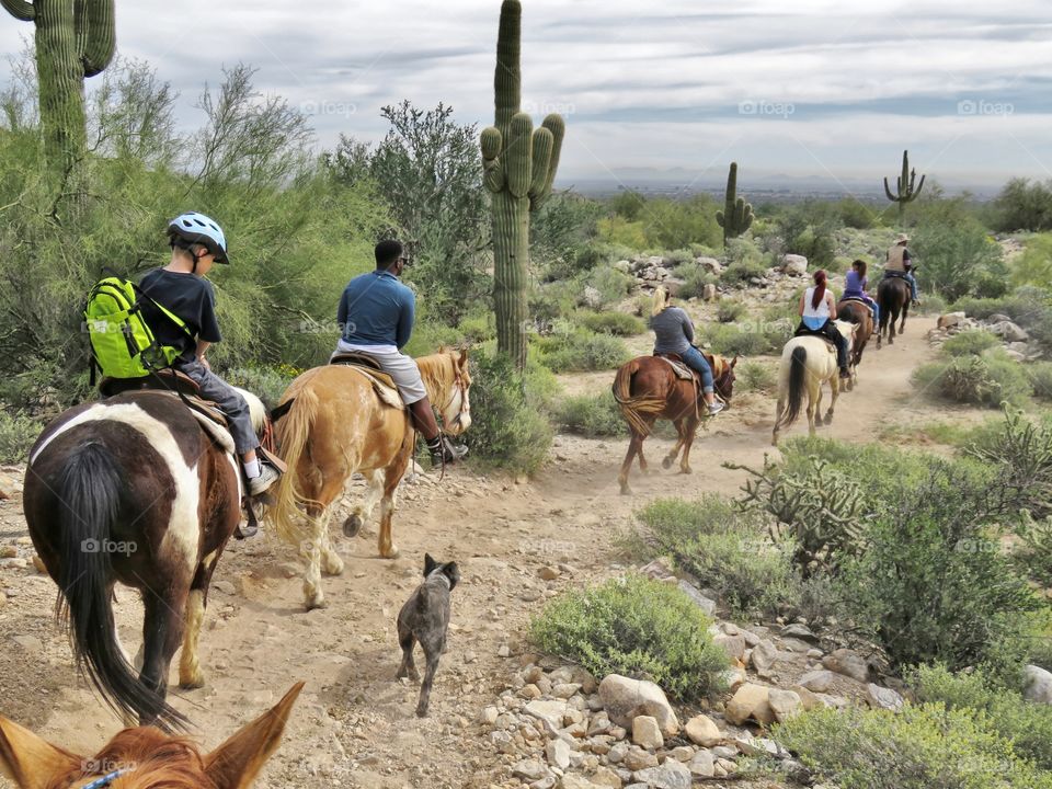 horseback riding