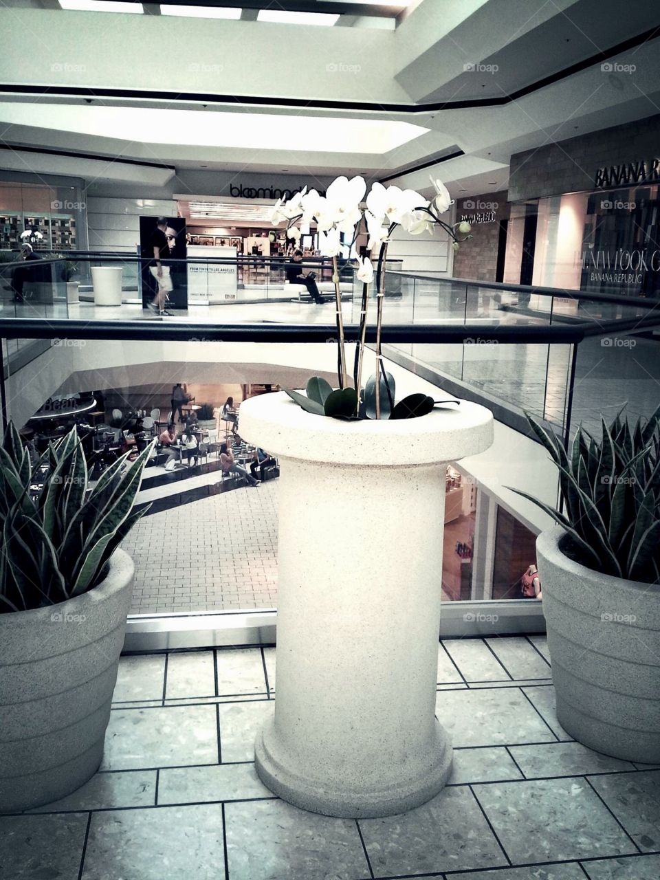 Flowers & plants on second floor of Beverly Center.