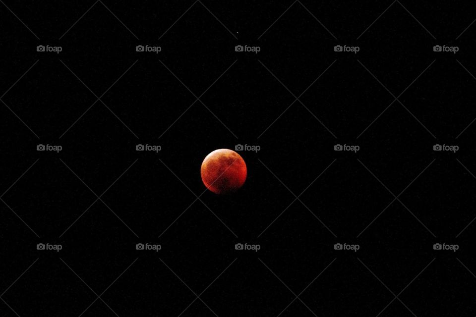 The Blood Moon 