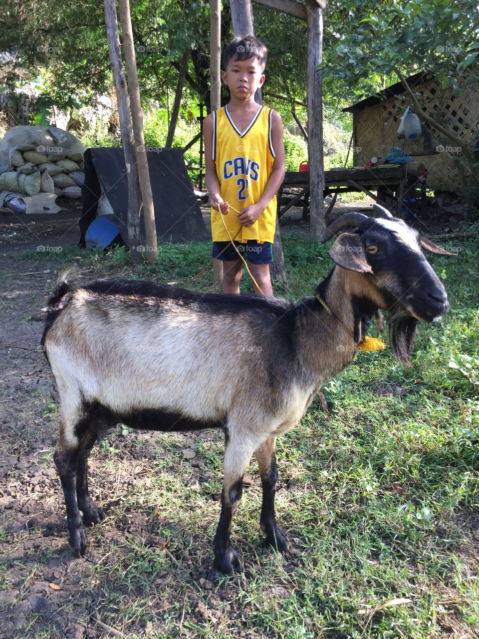 The kid and his goat
