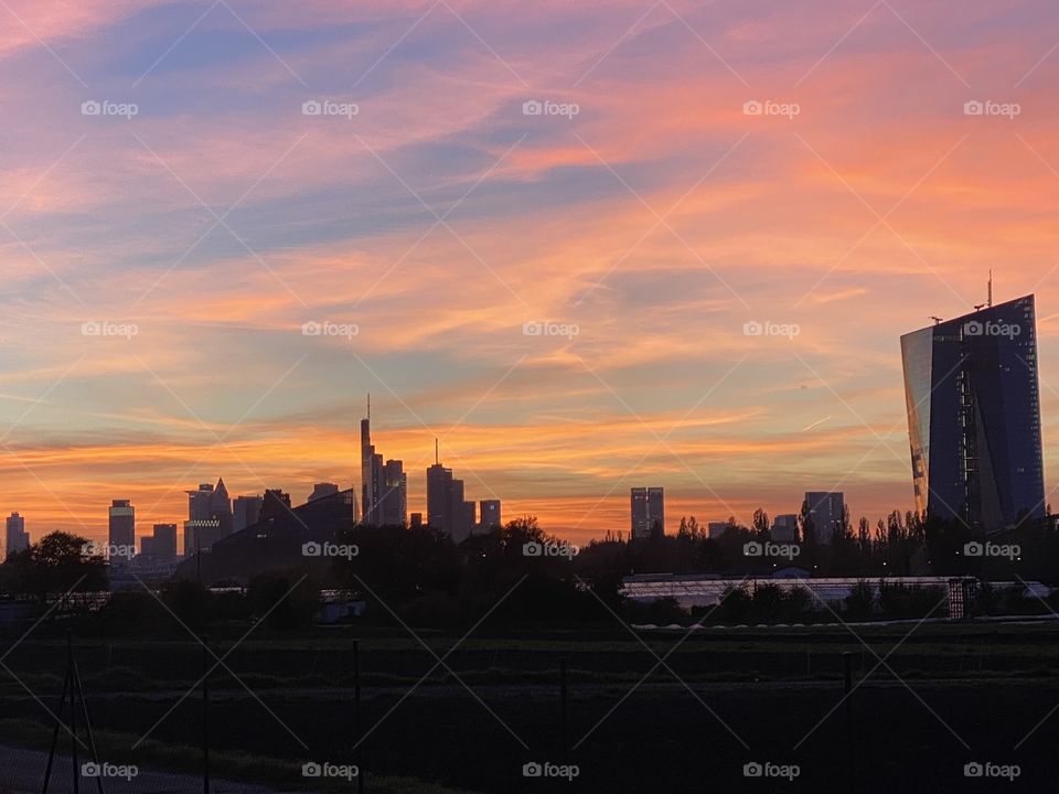 Skyline of Frankfurt with Bank like Commerzbank and European Central Bank 