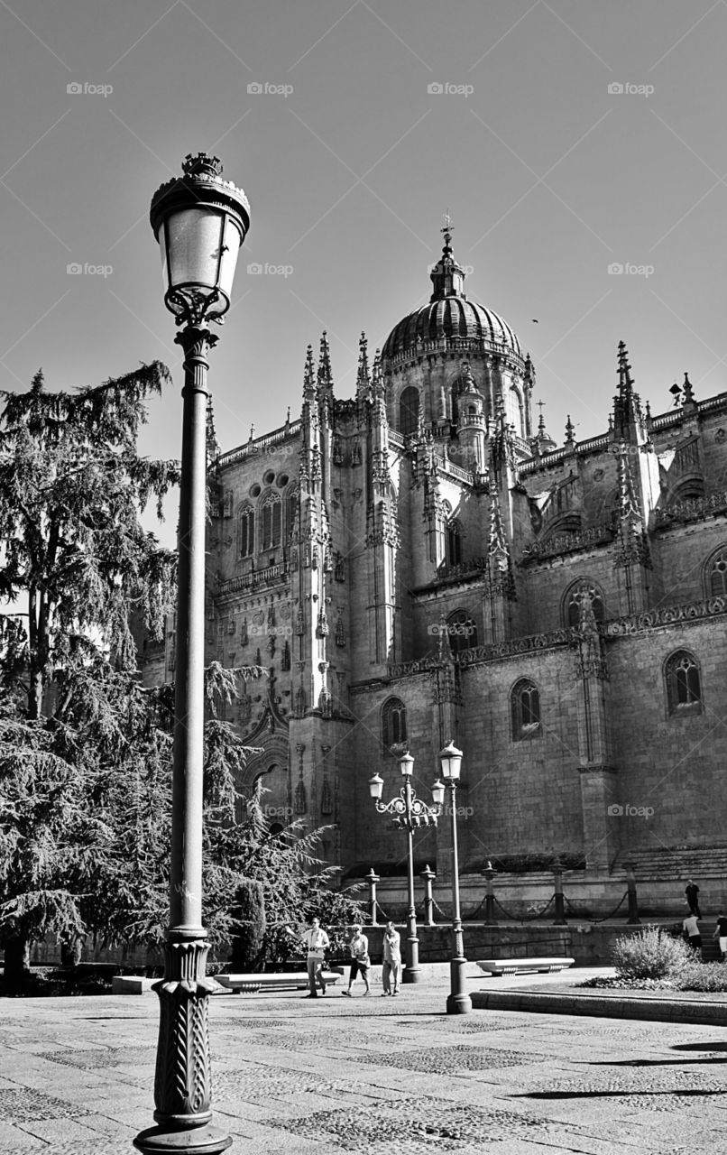 Salamanca Cathedral. Side view of Salamanca cathedral, Spain.