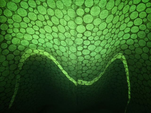 A sunlit through a curtain.