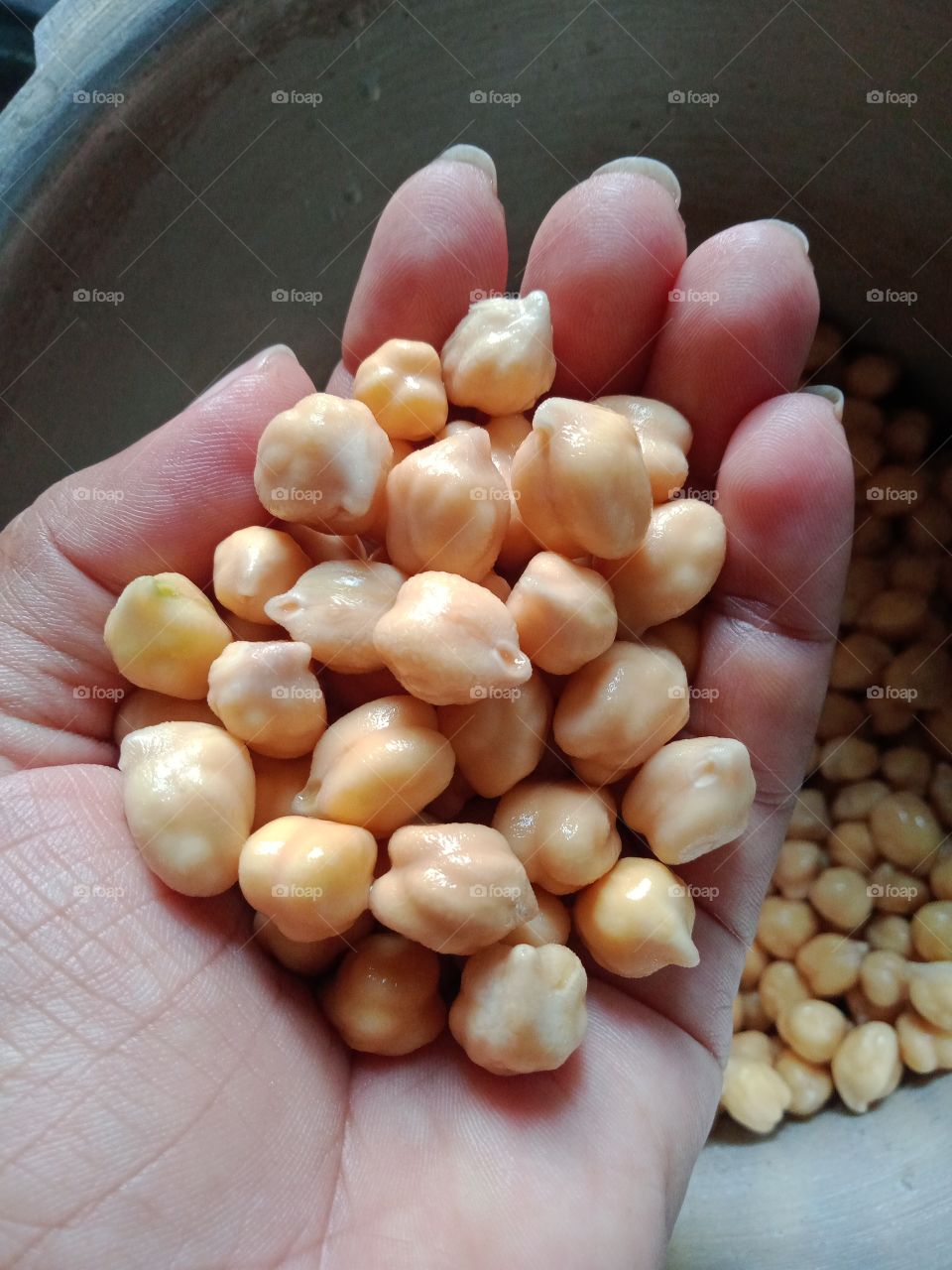 soaked chickpeas are ready to prepare for reakfast .