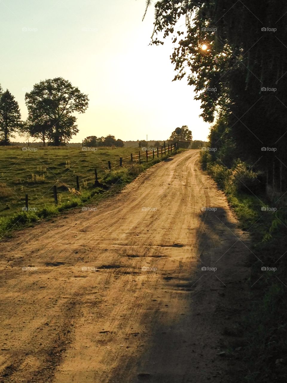 Road. Poland, Wojnowo, countryside road 