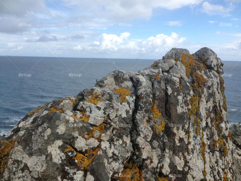 A rock on the coast of Cornwall covered with lichen looking out to the sea. 