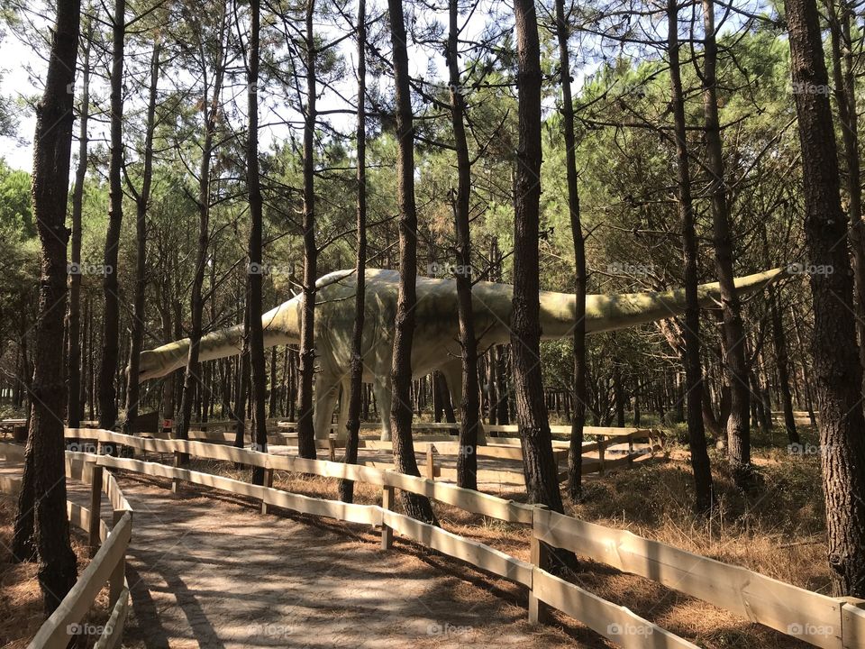 Dino parque Lourinhã 