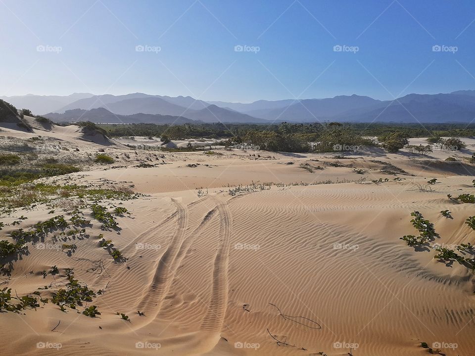 Dunes in the summer with mountains background.