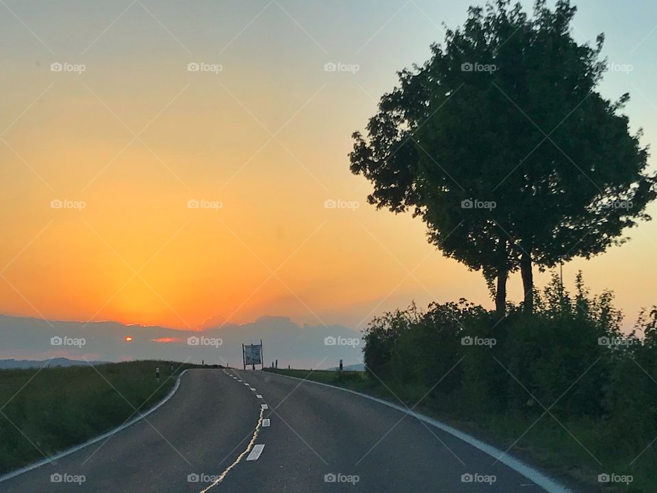 Road with a tree at sunset 
