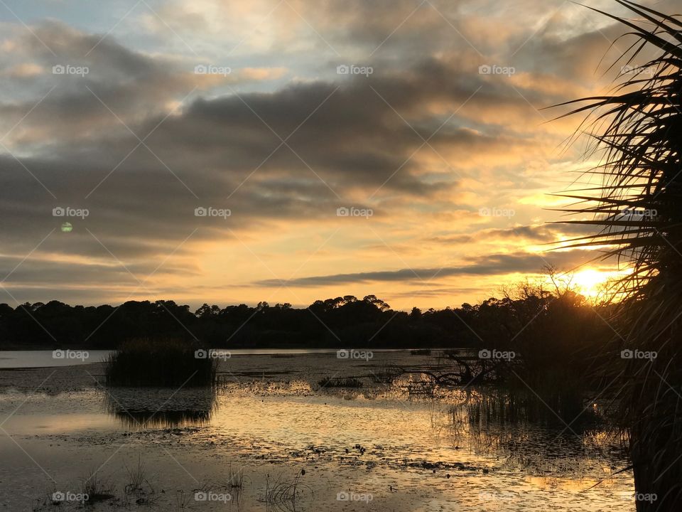 Reflection on the wetlands 