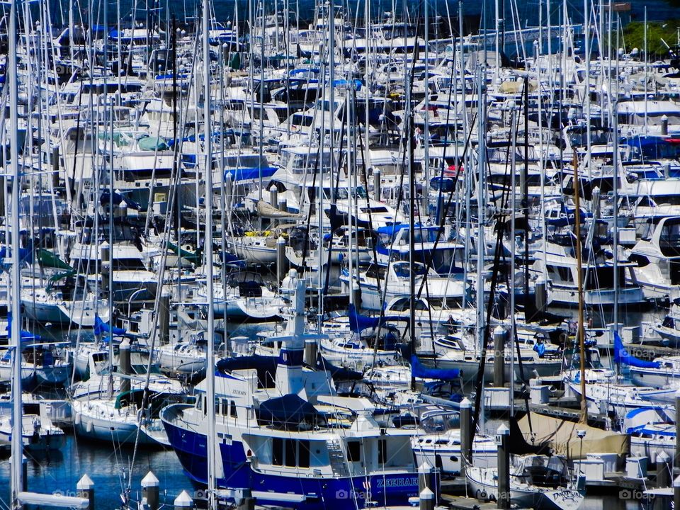 Sailing . Seattle Port