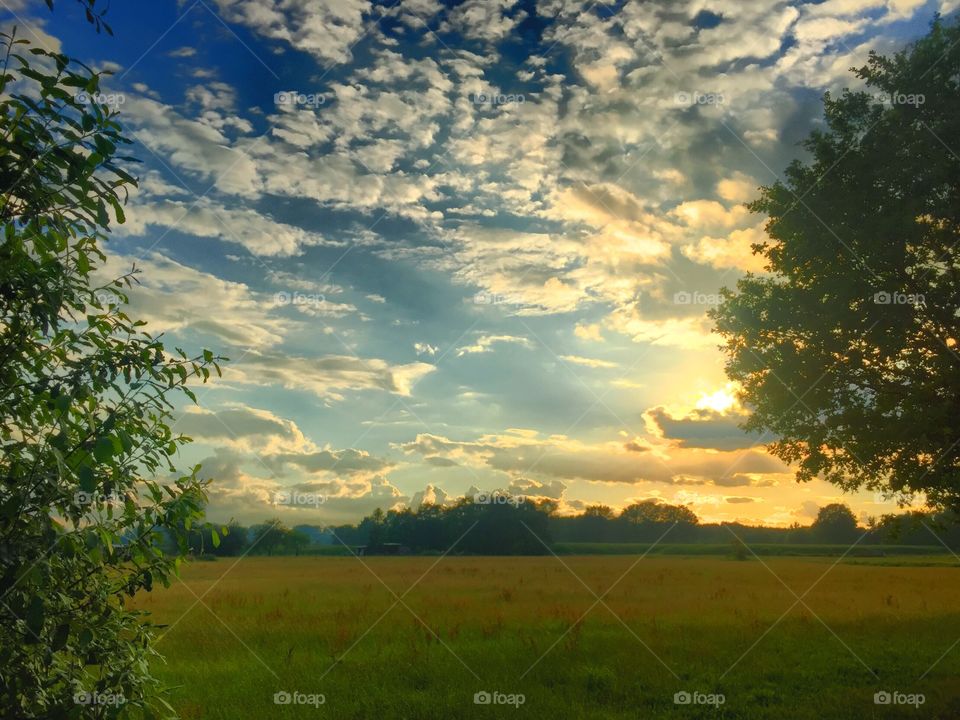 Fluffy sheep in the sky