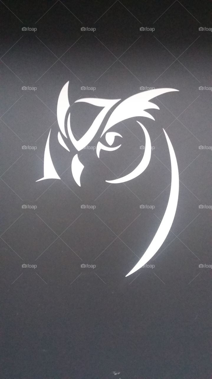 an owl wall art sticker