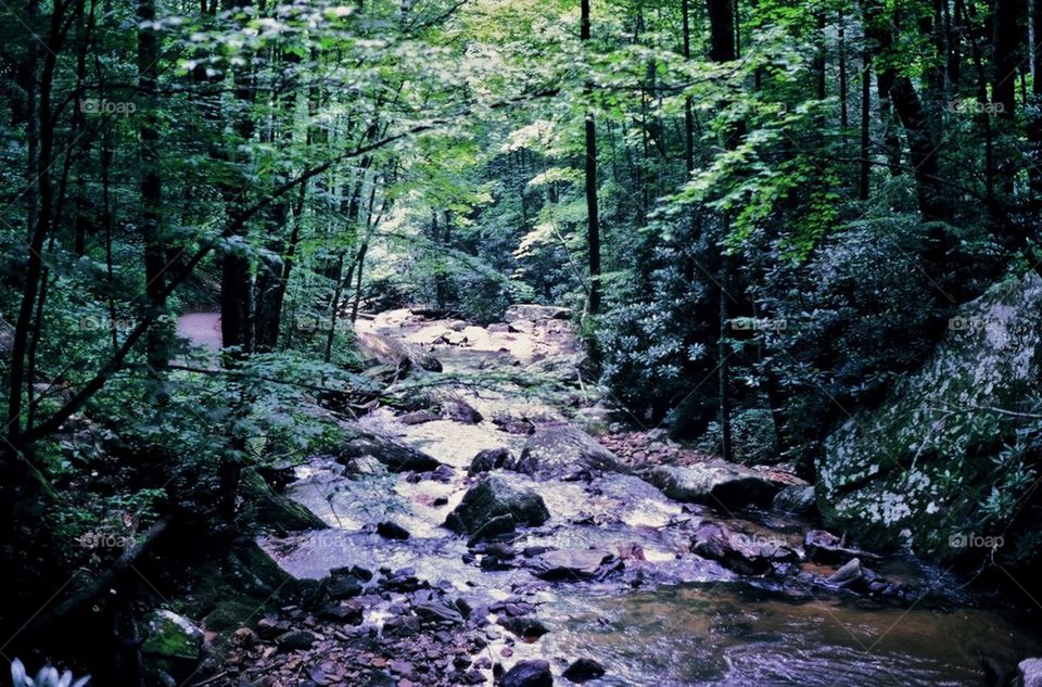 Rushing water over rocks