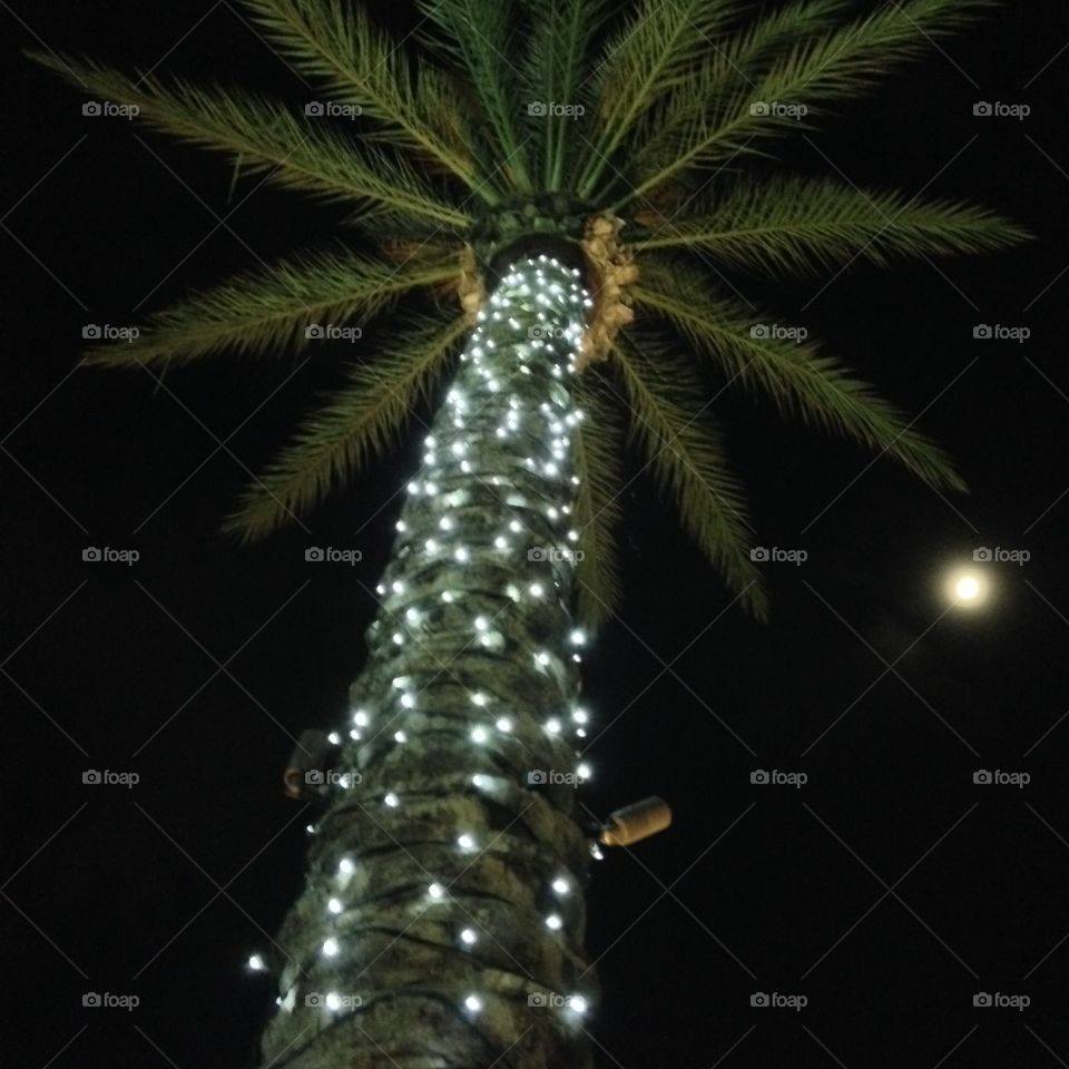 Tree Light

Published by:
HappyBrownMonkey 