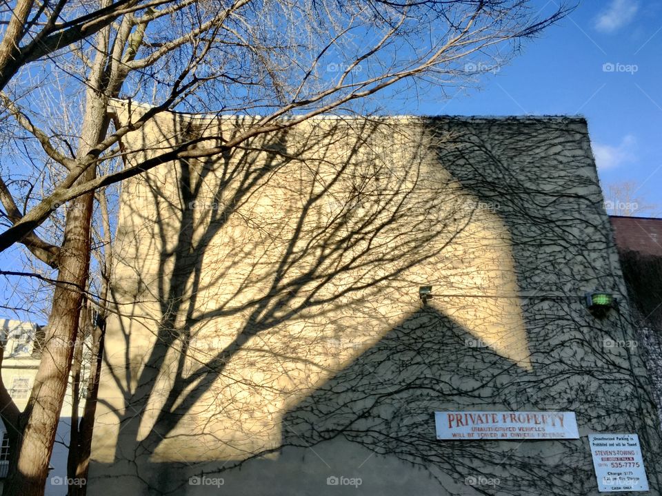 Early morning shadows on S. Jessup St., Philadelphia 
