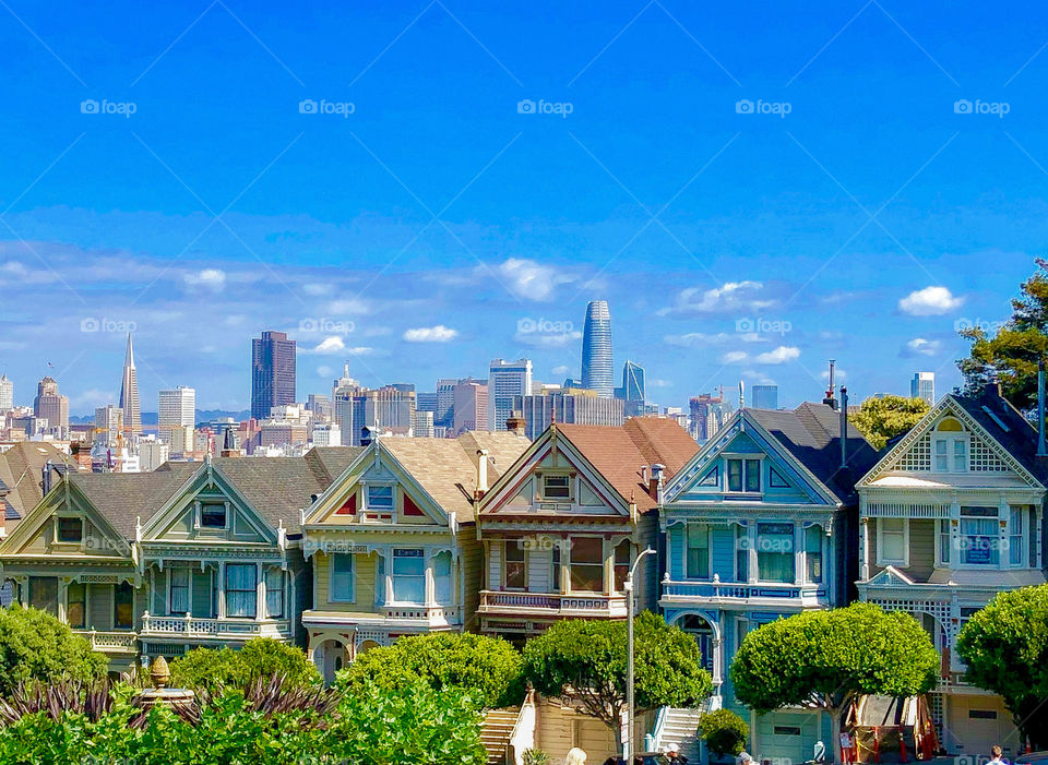 A view of the Painted Ladies houses in the suburbs with the city skyline in the background