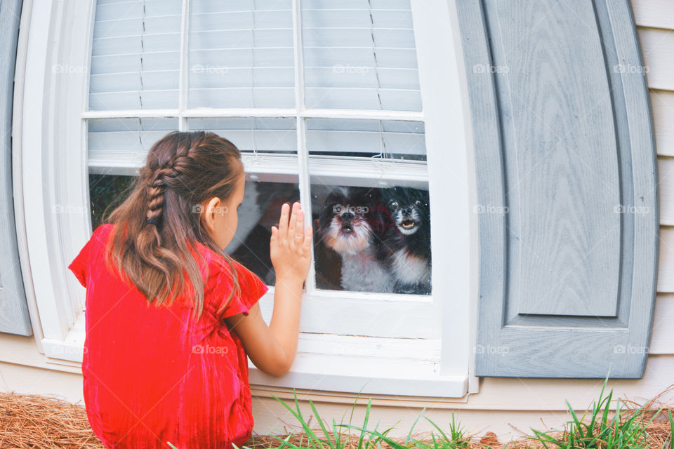 girl with dogs