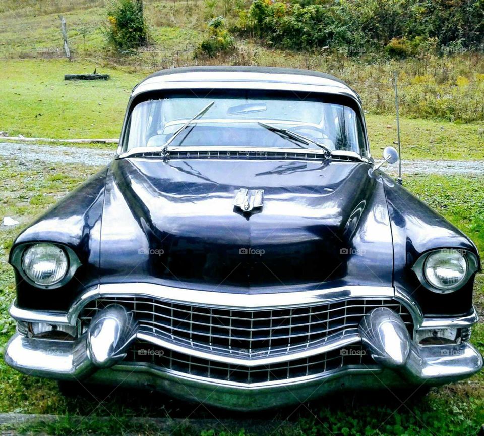 1955 Cadillac