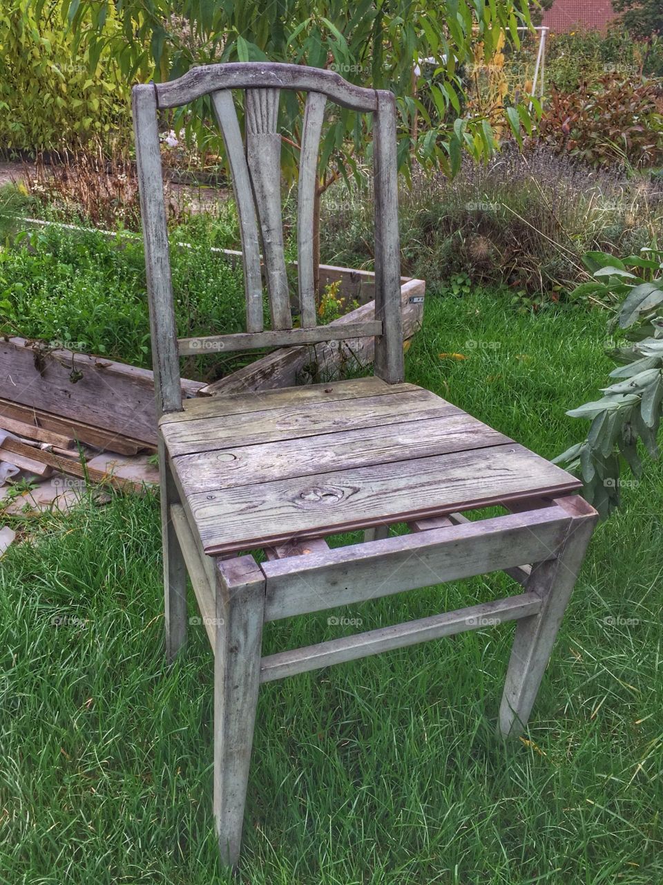 Old chair