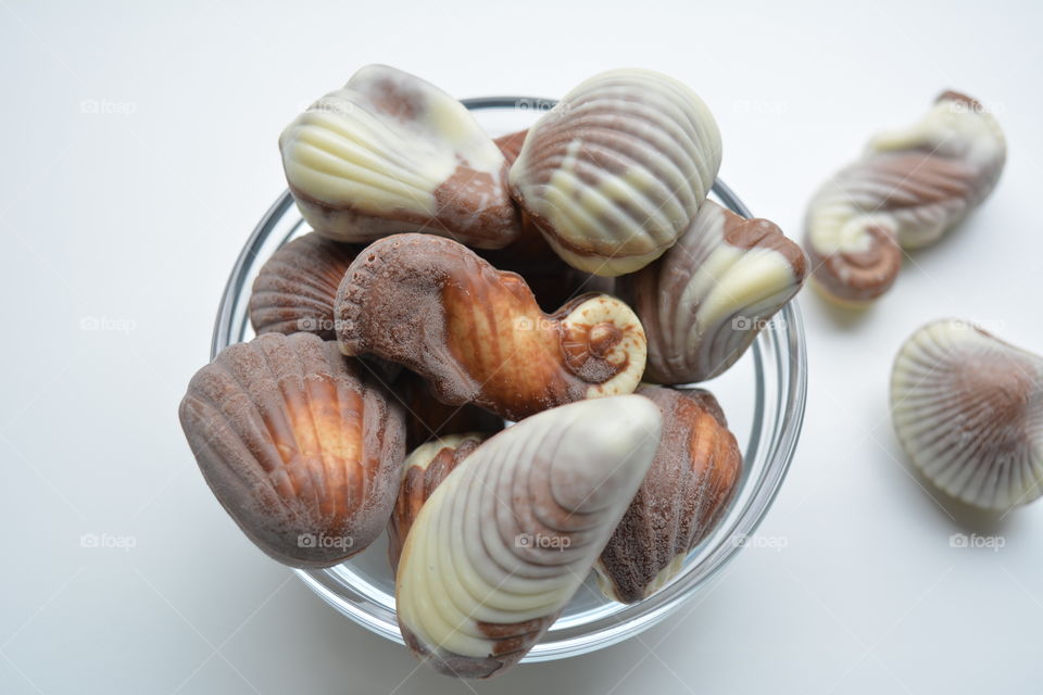 seashells chocolate candies on a white background top view