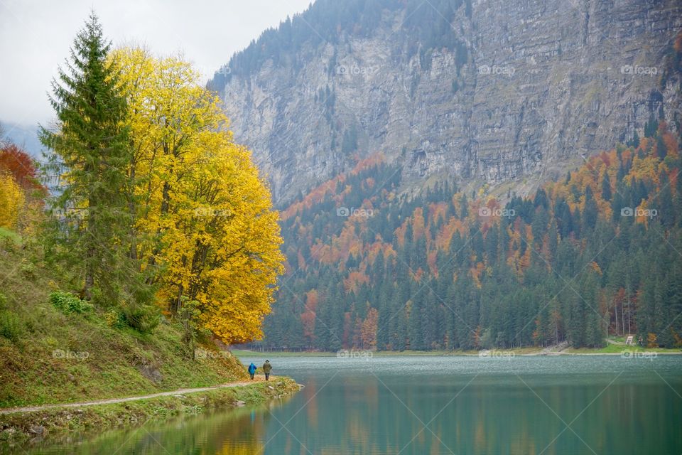 Automne coloré au lac de Montriond (Alpes du Nord, France)