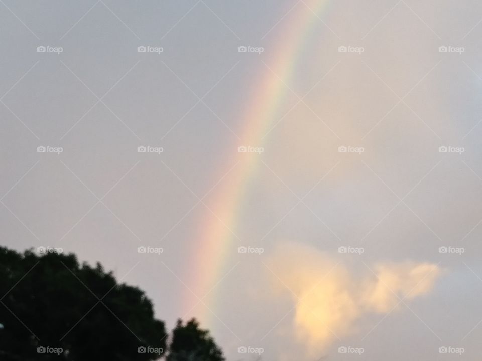 Sight of a Rainbow