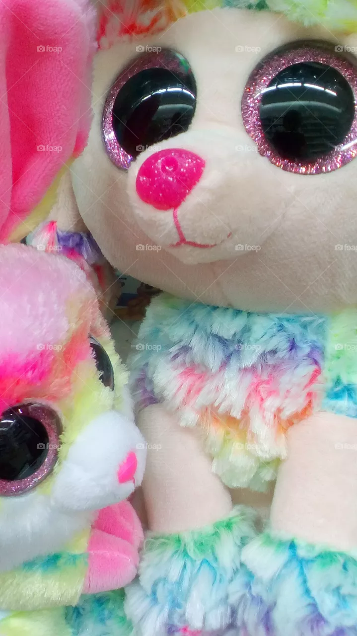 Toy