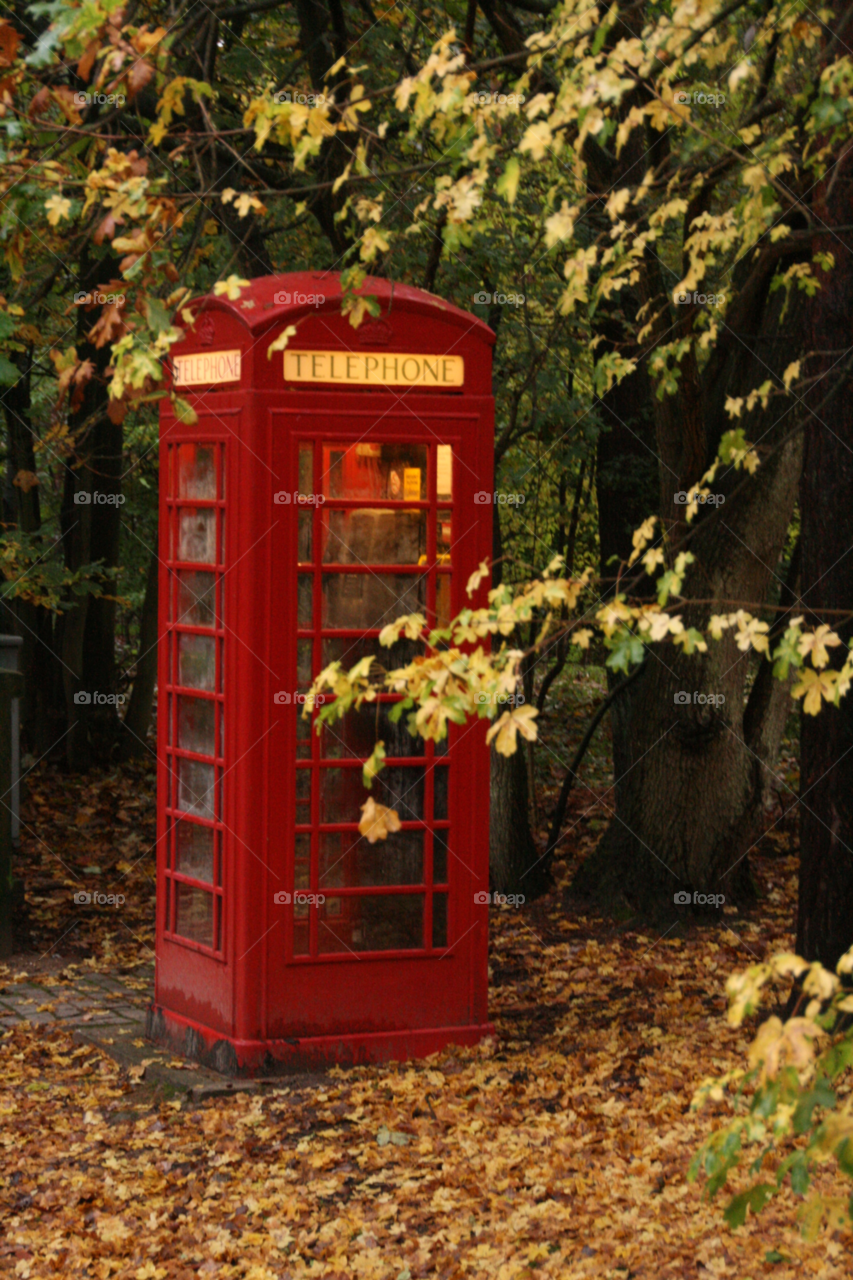 red wood telephone box by cheesepuff5000