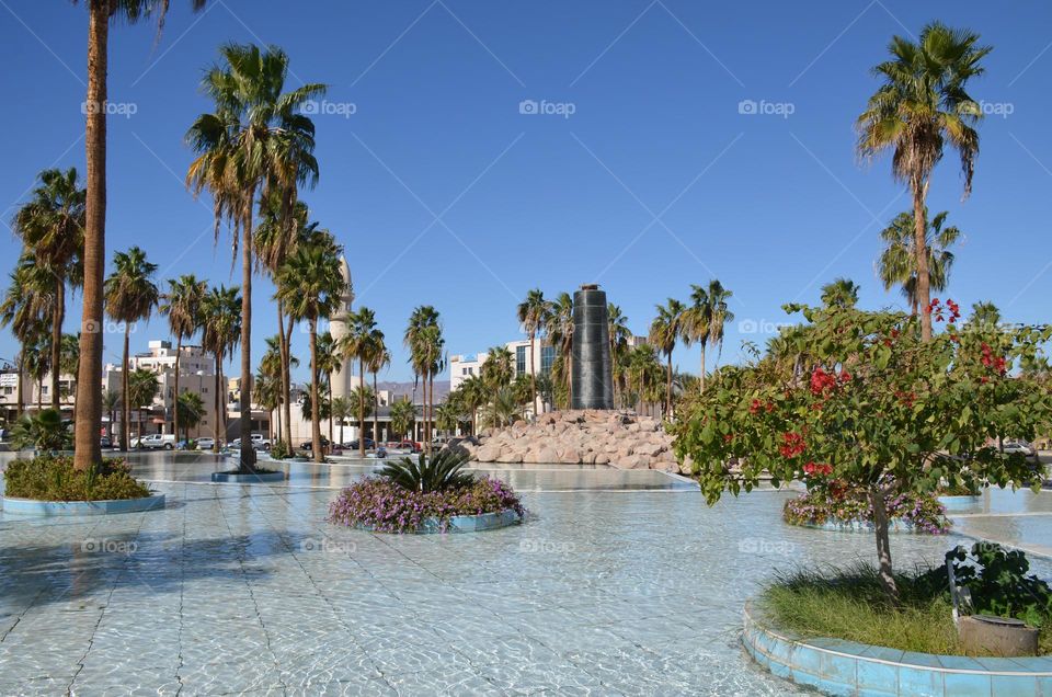 Plants, Aqaba city, Jordan