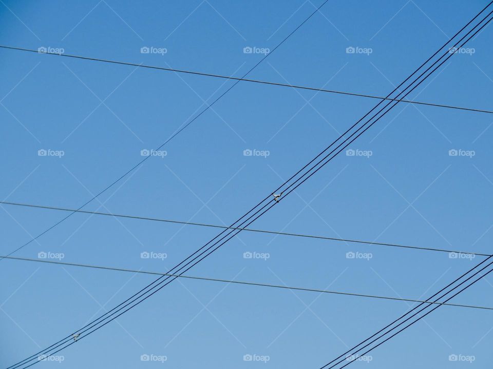 Telephone Wires Against a Blue Sky