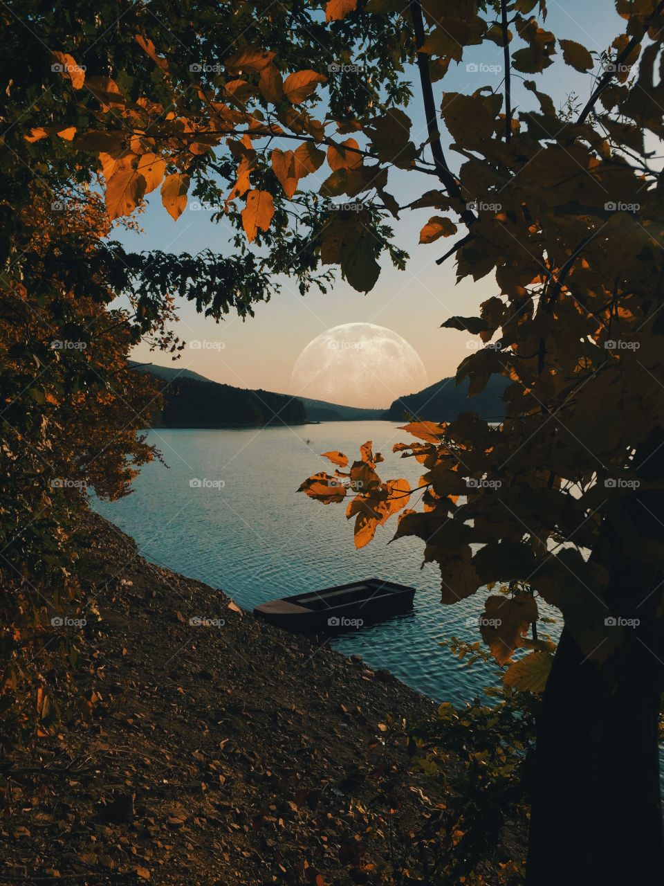 Autumn view at the lake