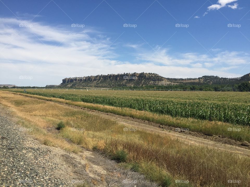 Landscape, No Person, Nature, Sky, Agriculture
